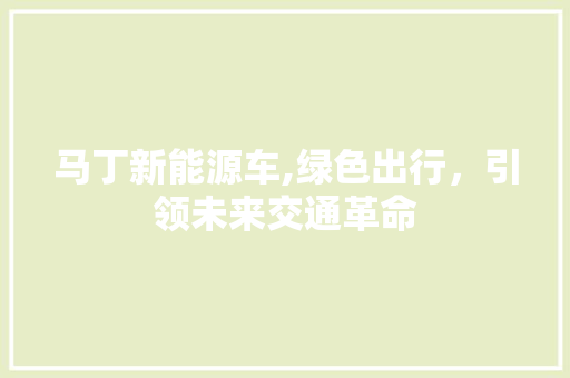 马丁新能源车,绿色出行，引领未来交通革命