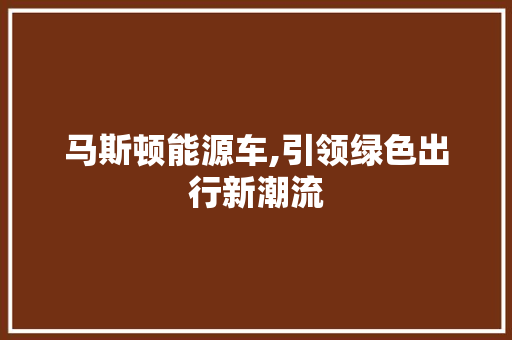 马斯顿能源车,引领绿色出行新潮流 车身配件
