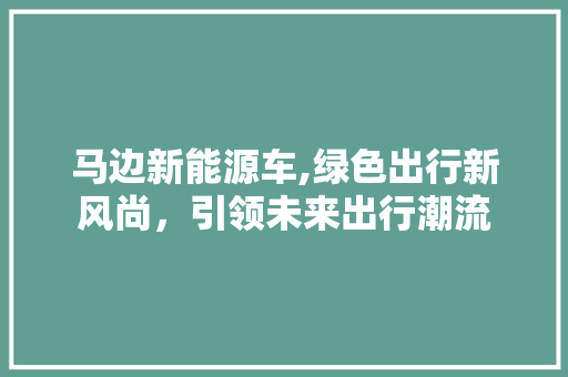 马边新能源车,绿色出行新风尚，引领未来出行潮流