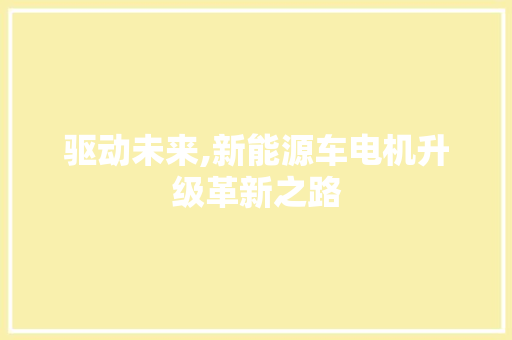 驱动未来,新能源车电机升级革新之路