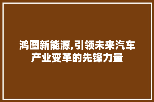 鸿图新能源,引领未来汽车产业变革的先锋力量