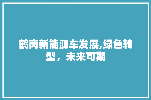 鹤岗新能源车发展,绿色转型，未来可期