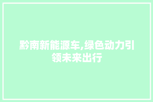 黔南新能源车,绿色动力引领未来出行