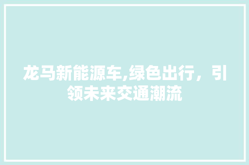 龙马新能源车,绿色出行，引领未来交通潮流