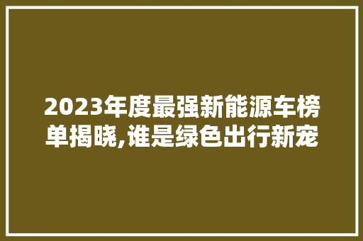 2023年度最强新能源车榜单揭晓,谁是绿色出行新宠 新款车型