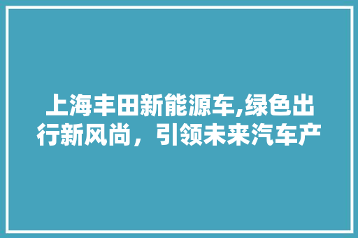 上海丰田新能源车,绿色出行新风尚，引领未来汽车产业