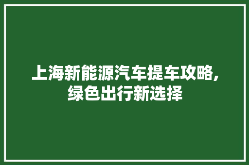 上海新能源汽车提车攻略,绿色出行新选择