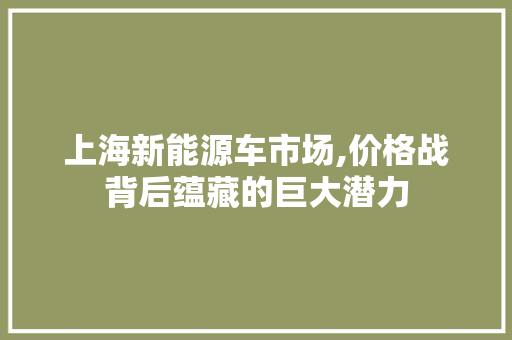 上海新能源车市场,价格战背后蕴藏的巨大潜力