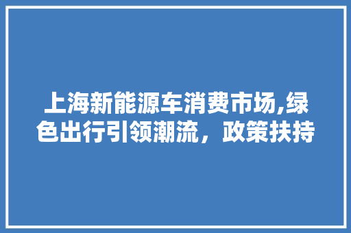 上海新能源车消费市场,绿色出行引领潮流，政策扶持助力发展 变速箱配件
