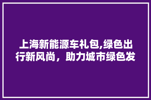 上海新能源车礼包,绿色出行新风尚，助力城市绿色发展