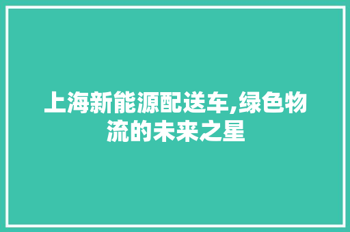 上海新能源配送车,绿色物流的未来之星 变速箱配件