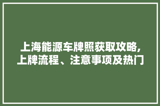 上海能源车牌照获取攻略,上牌流程、注意事项及热门选择