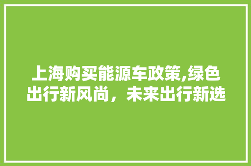 上海购买能源车政策,绿色出行新风尚，未来出行新选择