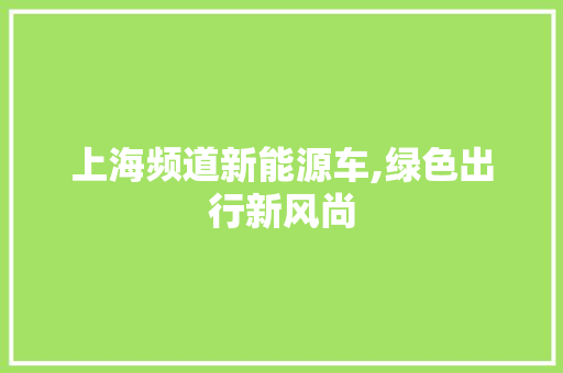 上海频道新能源车,绿色出行新风尚 发动机配件