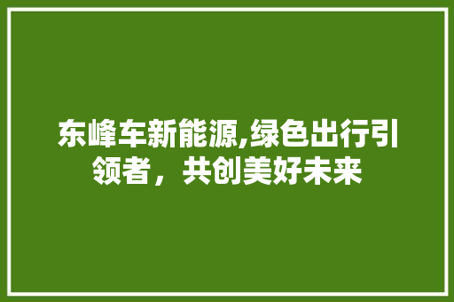 东峰车新能源,绿色出行引领者，共创美好未来