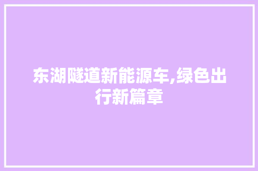 东湖隧道新能源车,绿色出行新篇章 新能源汽车