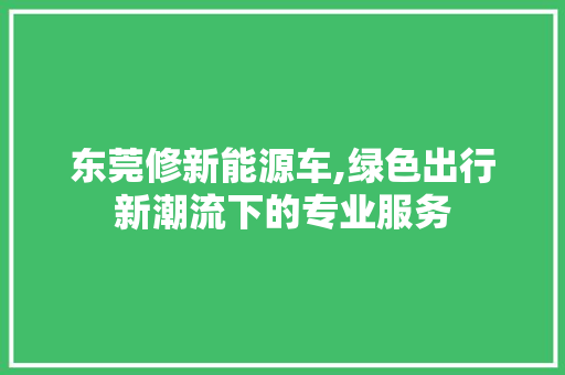 东莞修新能源车,绿色出行新潮流下的专业服务