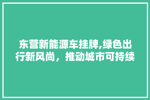东营新能源车挂牌,绿色出行新风尚，推动城市可持续发展