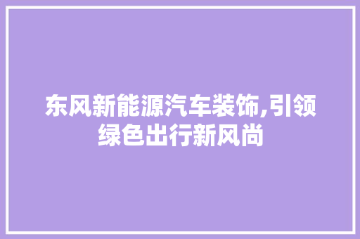东风新能源汽车装饰,引领绿色出行新风尚