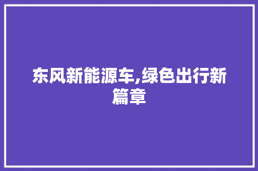 东风新能源车,绿色出行新篇章