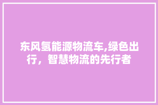 东风氢能源物流车,绿色出行，智慧物流的先行者