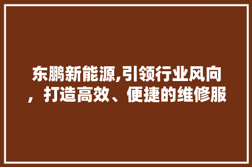 东鹏新能源,引领行业风向，打造高效、便捷的维修服务体验