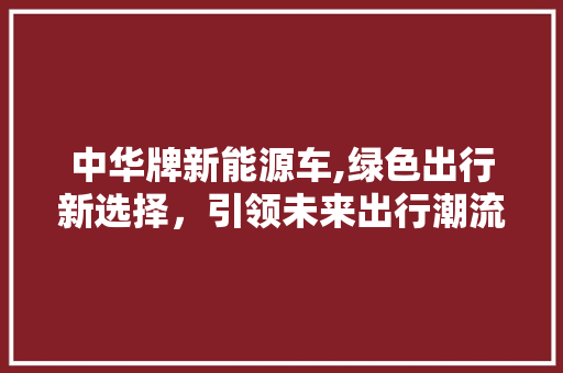 中华牌新能源车,绿色出行新选择，引领未来出行潮流