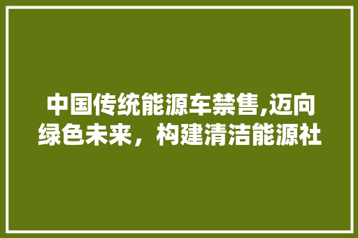 中国传统能源车禁售,迈向绿色未来，构建清洁能源社会