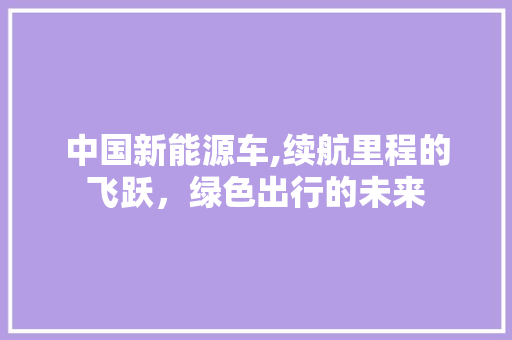 中国新能源车,续航里程的飞跃，绿色出行的未来