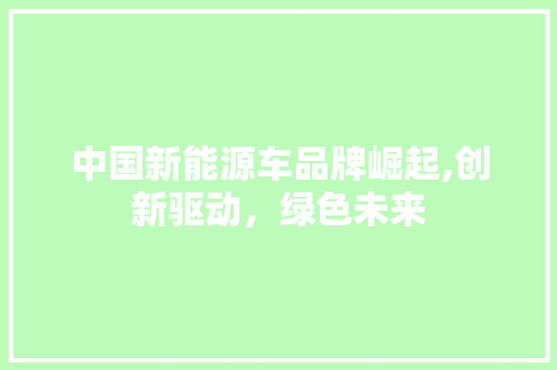 中国新能源车品牌崛起,创新驱动，绿色未来