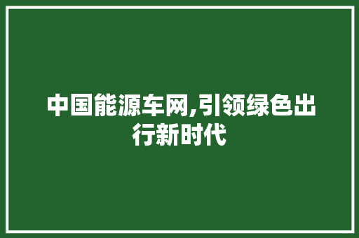 中国能源车网,引领绿色出行新时代