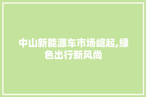 中山新能源车市场崛起,绿色出行新风尚