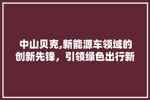 中山贝克,新能源车领域的创新先锋，引领绿色出行新潮流