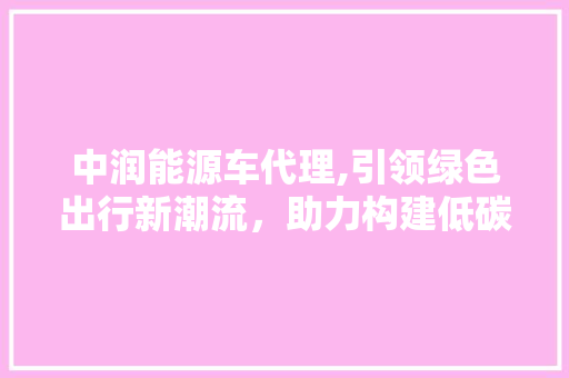 中润能源车代理,引领绿色出行新潮流，助力构建低碳未来