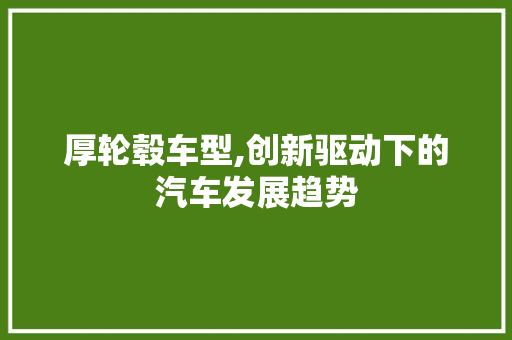 厚轮毂车型,创新驱动下的汽车发展趋势