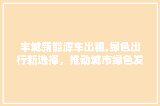 丰城新能源车出租,绿色出行新选择，推动城市绿色发展