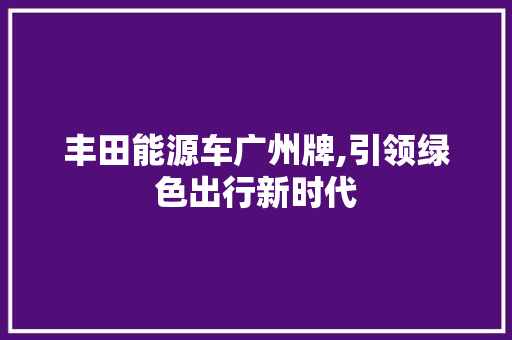 丰田能源车广州牌,引领绿色出行新时代