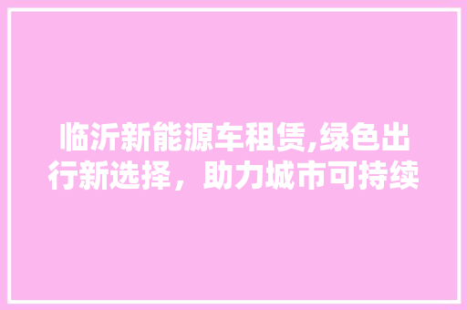 临沂新能源车租赁,绿色出行新选择，助力城市可持续发展