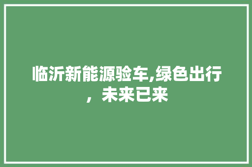 临沂新能源验车,绿色出行，未来已来