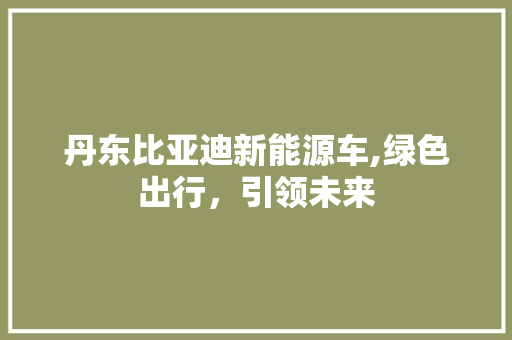 丹东比亚迪新能源车,绿色出行，引领未来