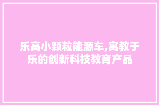 乐高小颗粒能源车,寓教于乐的创新科技教育产品