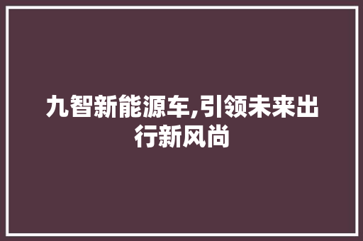 九智新能源车,引领未来出行新风尚