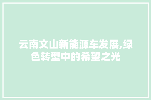 云南文山新能源车发展,绿色转型中的希望之光 车灯配件