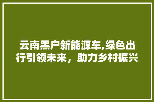 云南黑户新能源车,绿色出行引领未来，助力乡村振兴