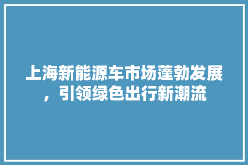 上海新能源车市场蓬勃发展，引领绿色出行新潮流