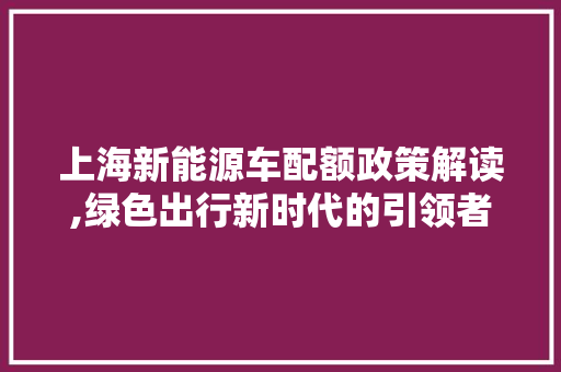 上海新能源车配额政策解读,绿色出行新时代的引领者