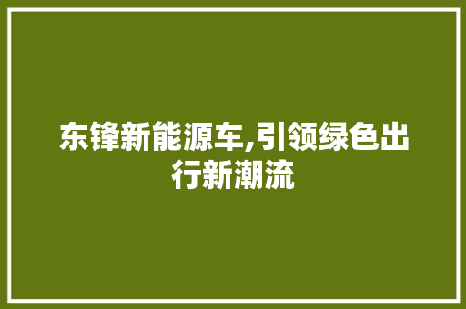 东锋新能源车,引领绿色出行新潮流