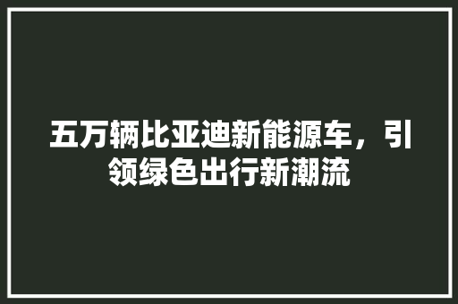 五万辆比亚迪新能源车，引领绿色出行新潮流 车身配件