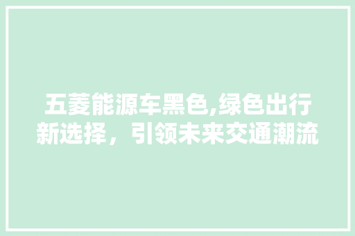 五菱能源车黑色,绿色出行新选择，引领未来交通潮流