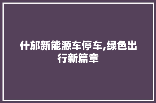 什邡新能源车停车,绿色出行新篇章